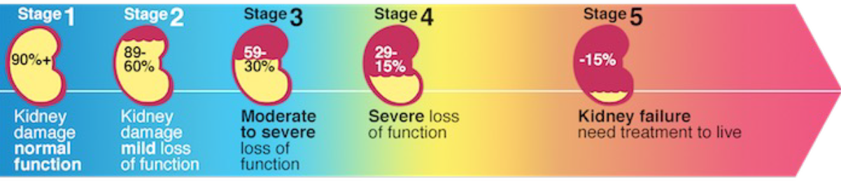 CKD